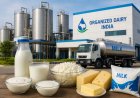 Organised Dairy Sector Set for 13–15% Revenue Growth This Fiscal: CRISIL Ratings