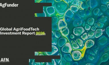 Global Agritech Funding Dips 3% to $16.2 Billion as Investment Focus Shifts