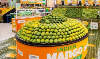 Nepal Has Not Banned Indian Mango Imports, Exports Continue Under Revised Rules: Agriculture Ministry
