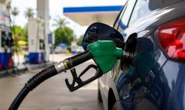 Government Removes Excise Duty on Higher Ethanol-Blended Petrol, but Best-Selling E20 Excluded from Relief