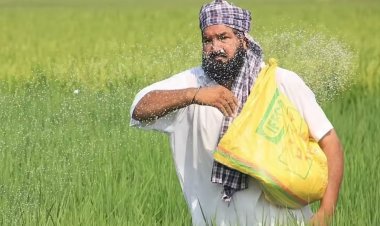 India Buys 15 Lakh Tonnes of Urea and 7.1 Lakh Tonnes of DAP from 17 Countries During April-June