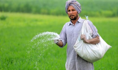 Centre Counters Punjab Urea Shortage Claims, Says Stocks Sufficient Despite Farmers’ Statewide Protests