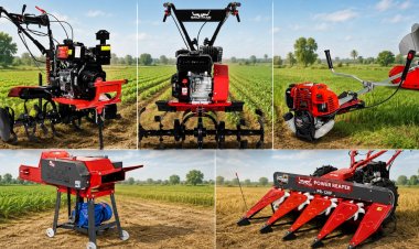 Farm Mechanisation: The Productivity Revolution Smallholder Farmers Cannot Afford to Miss