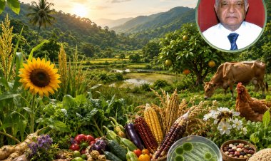 NBA Reconstitutes Agrobiodiversity Expert Committee; Padma Shri Dr P. L. Gautam Named Chair