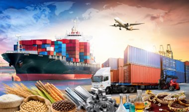 India's Exports Rise Nearly 15% in April-May; Petroleum, Engineering Goods Lead Growth