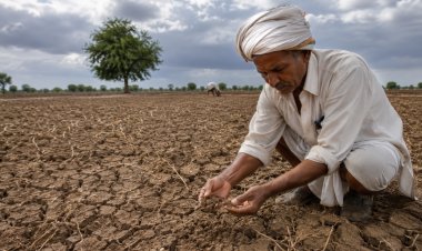 Monsoon Loses Momentum Amid El Niño Concerns; Maharashtra Records 75% Rainfall Deficit, Farmers Advised Against Early Sowing