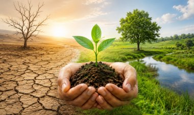 Restoring India's Lands for a Sustainable Future: Science, Convergence and Collective Action