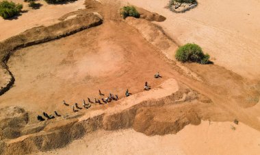 FAO, WFP Launch $202 Million Appeal to Shield 8.8 Million People from El Niño Threat