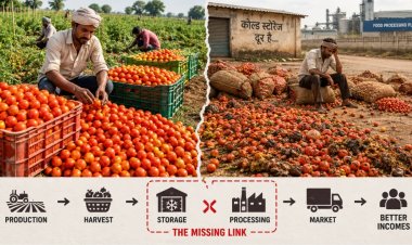 Post-Harvest Losses and Poor Processing Access Continue to Hold Back India's Farm Economy