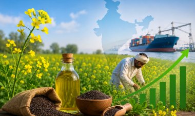 Regenerative Mustard Farming Model Boosts Yields by Up to 30%, Offers Path to Cut India's Edible Oil Imports