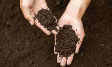 Turning Waste into Value: How FOM and LFOM Can Support Farmers During Crises