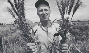 TAAS Invites Nominations for Borlaug Innovative Farmer and S.K. Vasal Crop Hybrid Research Awards