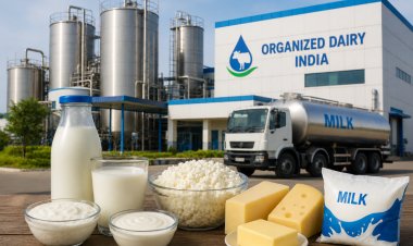 Organised Dairy Sector Set for 13–15% Revenue Growth This Fiscal: CRISIL Ratings