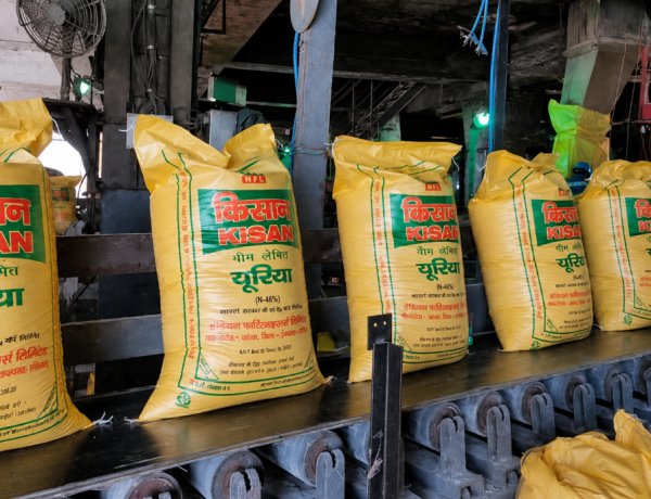 Global Fertilizer Prices Fall Sharply, Bringing Relief to India; Urea Drops $250/Tonne, DAP Below $900