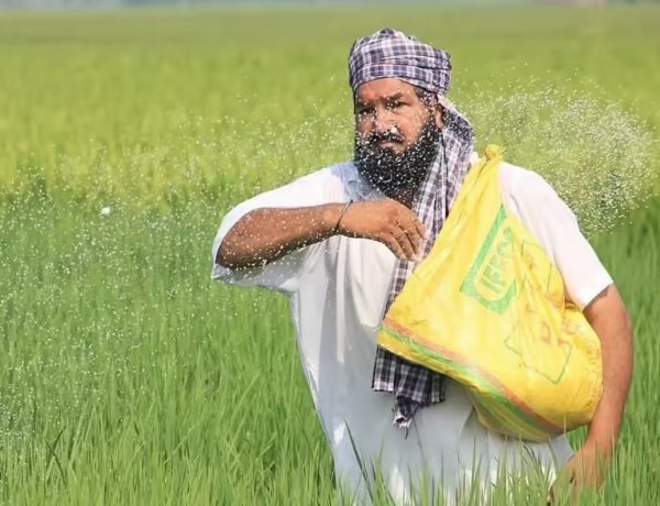 India Buys 15 Lakh Tonnes of Urea and 7.1 Lakh Tonnes of DAP from 17 Countries During April-June