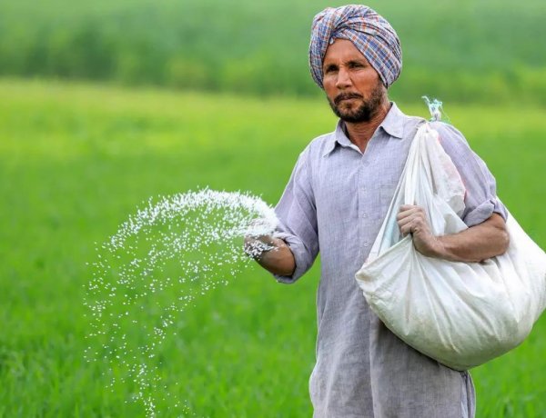 Centre Counters Punjab Urea Shortage Claims, Says Stocks Sufficient Despite Farmers’ Statewide Protests
