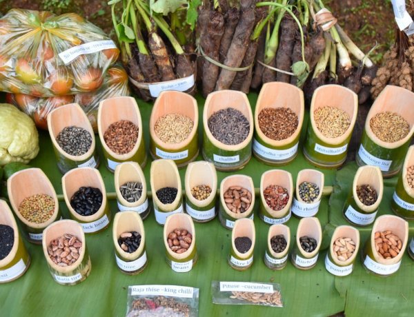 BIS launches national standard for community seed banks to preserve indigenous seeds and strengthen climate resilience