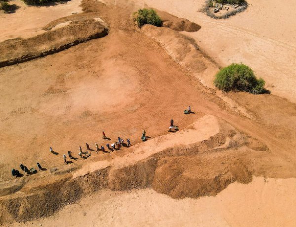 FAO, WFP Launch $202 Million Appeal to Shield 8.8 Million People from El Niño Threat