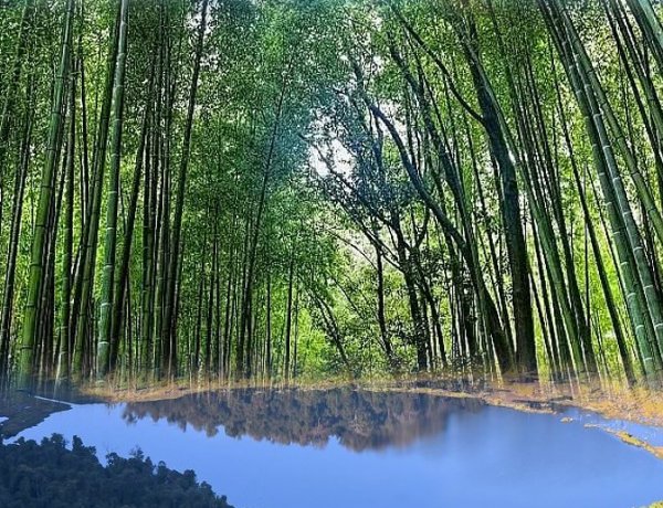 ADB Approves $42.2 Million Loan to Boost Bamboo Industry in Northeast
