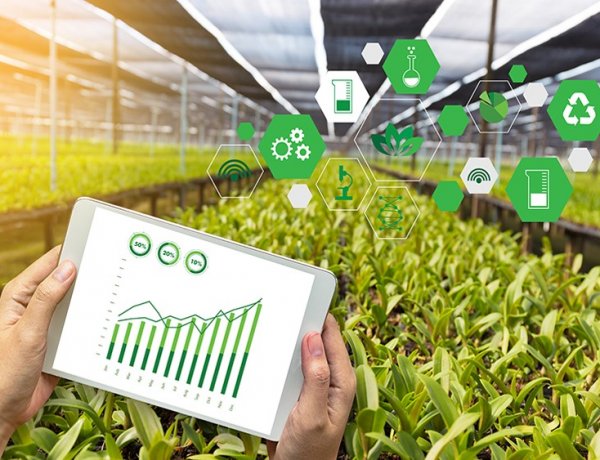 The Future of Agriculture: Human Expertise Enhanced by Artificial Intelligence