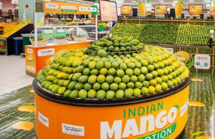 Nepal Has Not Banned Indian Mango Imports, Exports Continue Under Revised Rules: Agriculture Ministry