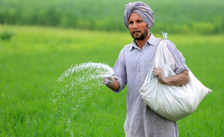 Centre Counters Punjab Urea Shortage Claims, Says Stocks Sufficient Despite Farmers’ Statewide Protests