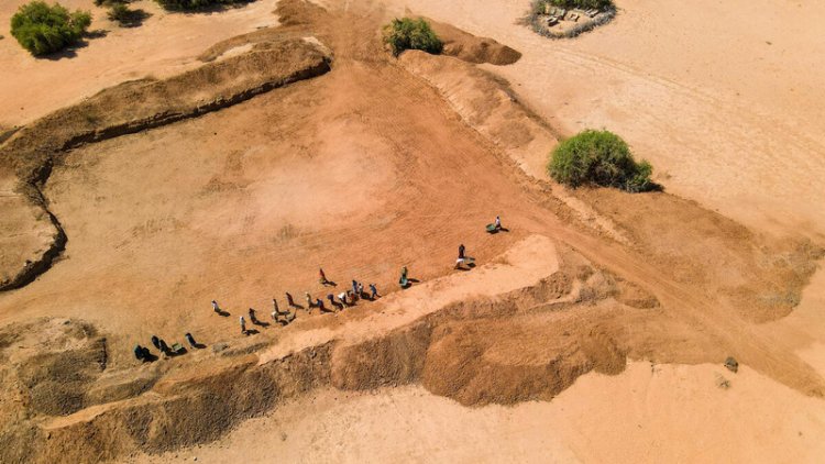 FAO, WFP Launch $202 Million Appeal to Shield 8.8 Million People from El Niño Threat