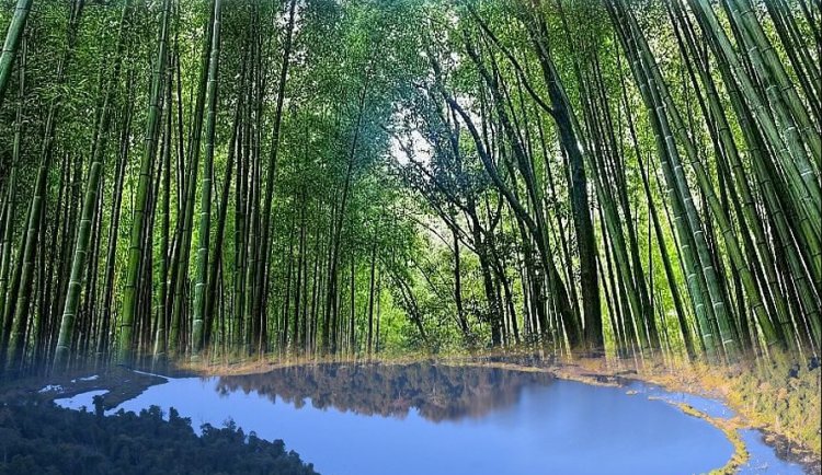 ADB Approves $42.2 Million Loan to Boost Bamboo Industry in Northeast