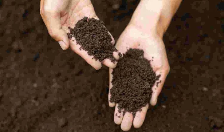 Turning Waste into Value: How FOM and LFOM Can Support Farmers During Crises
