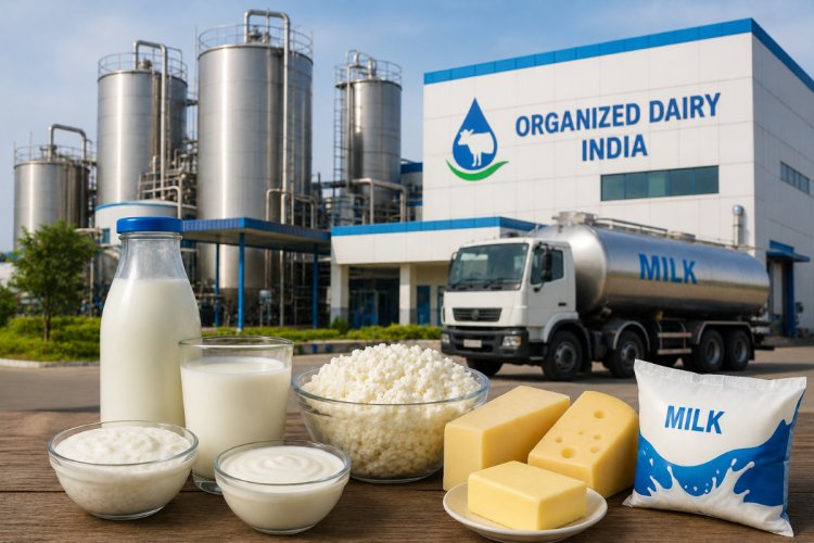 Organised Dairy Sector Set for 13–15% Revenue Growth This Fiscal: CRISIL Ratings