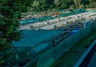 Khyber Group launches India's largest RAS-based Himalayan trout farming facility in Kashmir
