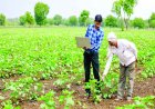 Beyond the Rains: Why India's Next Farm Revolution Must Be Climate-Proof