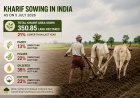India’s Kharif Sowing Area Down 21% as Delayed Monsoon Hits Farming