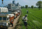 Understanding India's Fertilizer Challenge: Crisis Assessment, Geopolitical Vulnerabilities and Strategic Framework