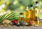 India's Edible Oil Imports Rise 7 pc in Eight Months Despite Sharp June Decline; Palm Oil Share Rises to 48 Percent