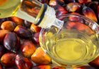 Godrej Agrovet Opens India's First Integrated Oil Palm Complex in Telangana with Rs 300 Crore Investment