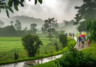 El Niño Strengthens as India's Monsoon Deficit Reduces to 17%; IMD Forecasts Mixed Rainfall Pattern Over Next Two Weeks