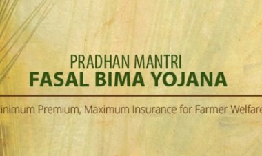 Insurance Companies Earning Over Rs 10,000 Crore From Crop Insurance Every Year