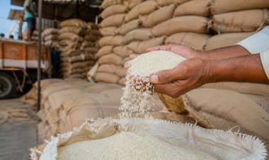 Government to Sell FCI Rice for Ethanol at Rs 2,320/qtl, Below Paddy MSP; OMSS Policy 2026-27 Announced