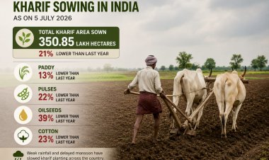 India’s Kharif Sowing Area Down 21% as Delayed Monsoon Hits Farming