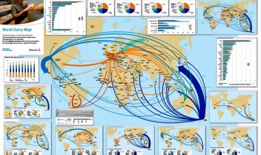 Cheese Drives Global Dairy Trade Growth as Supply Power Shifts: Rabobank Report