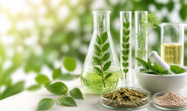 BEYOND THE BAG: How Biologicals Can Reduce India’s Dependency on Chemical Fertilizers