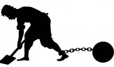 Amid US Section 301 Investigation, India Creates Legal Framework to Ban Forced Labour Imports