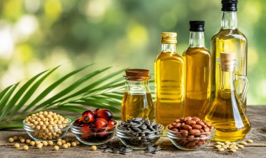 India's Edible Oil Imports Rise 7 pc in Eight Months Despite Sharp June Decline; Palm Oil Share Rises to 48 Percent