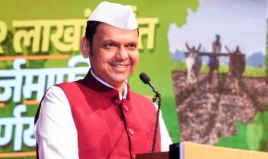 Maharashtra To Waive Rs. 48,000 Crore in Farmers' Power Dues, Promises 12 Hours of Free Daytime Electricity