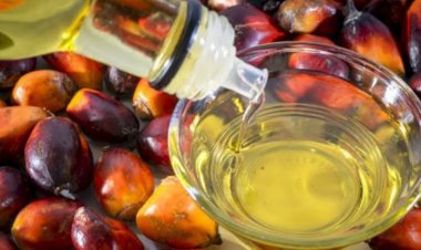 Godrej Agrovet Opens India's First Integrated Oil Palm Complex in Telangana with Rs 300 Crore Investment
