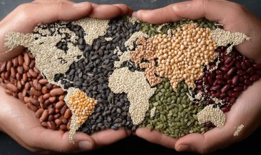 India Makes Progress on Hunger, but Healthy Diets Remain Out of Reach as Global Food Security Faces Fresh Risks