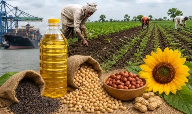 India's Edible Oil Import Bill May Cross Rs. 1.75 Lakh Crore as Delayed Monsoon Raises Oilseed Production Concerns