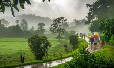El Niño Strengthens as India's Monsoon Deficit Reduces to 17%; IMD Forecasts Mixed Rainfall Pattern Over Next Two Weeks