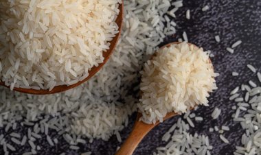 EU's Green Trade Rules Threaten India's Rice Export Edge Despite Global Dominance